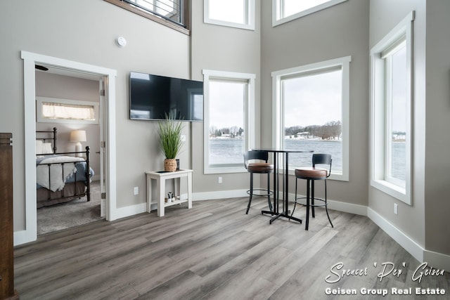 dining space with hardwood / wood-style floors and a towering ceiling