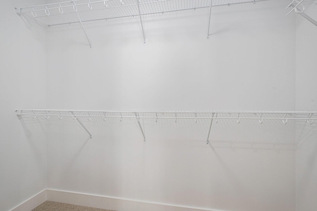 2519 Hunters Run Unit 101, Kalamazoo, MI 49048 - spacious closet with carpet