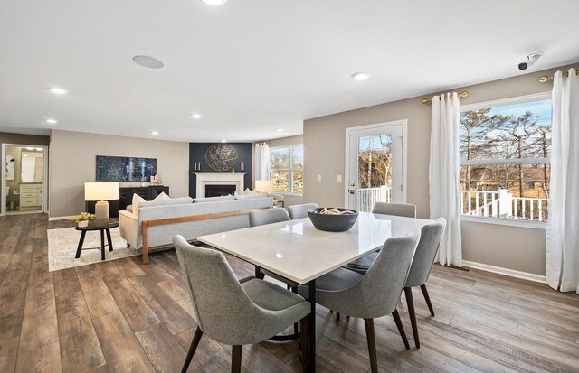 dining area with hardwood / wood-style floors