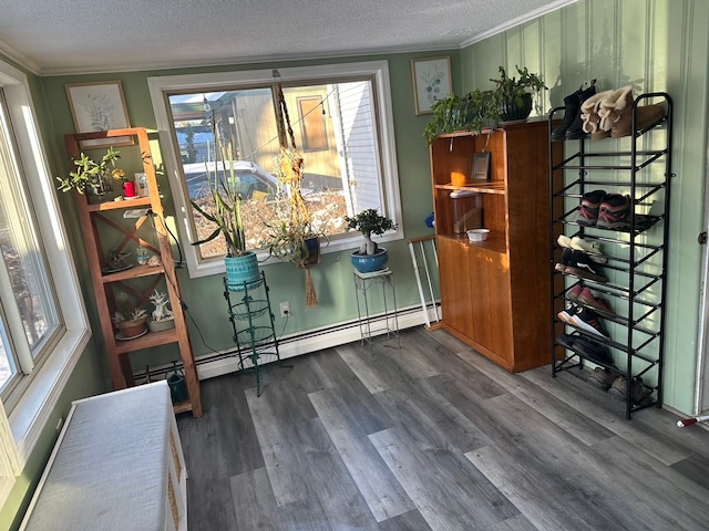 doorway to outside featuring crown molding, a baseboard radiator, a textured ceiling, and wood-type flooring