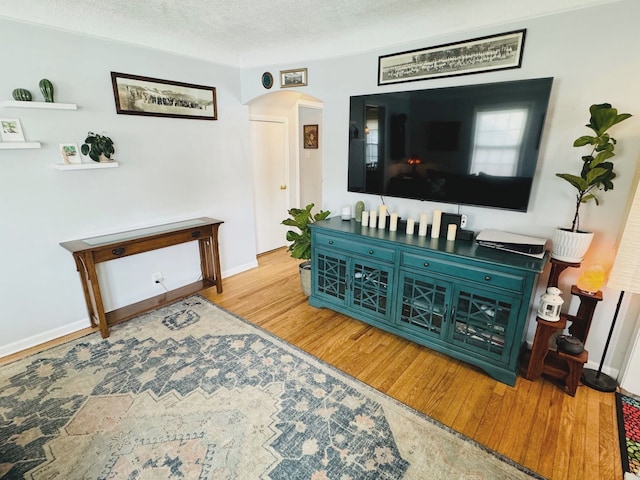 living room with hardwood / wood-style floors and a textured ceiling