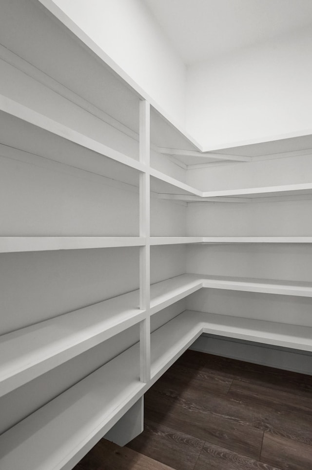 9033 Copper Ridge Dr, Davison, MI 48423 - view of pantry