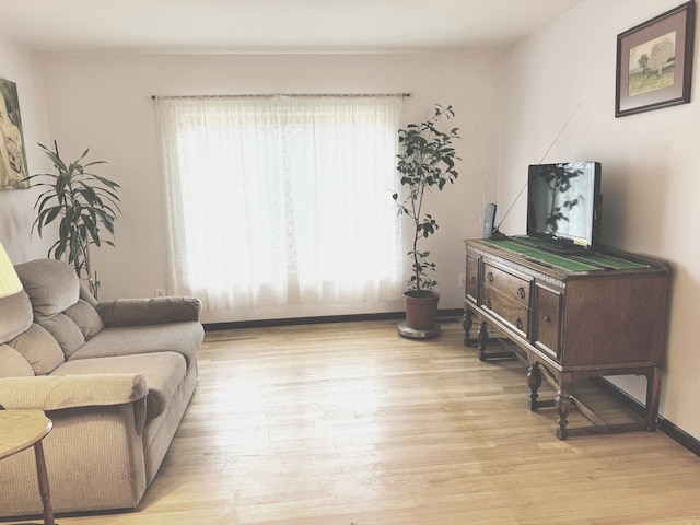 living room featuring a healthy amount of sunlight and light wood-type flooring