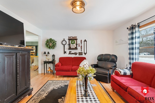 living room with light hardwood / wood-style flooring