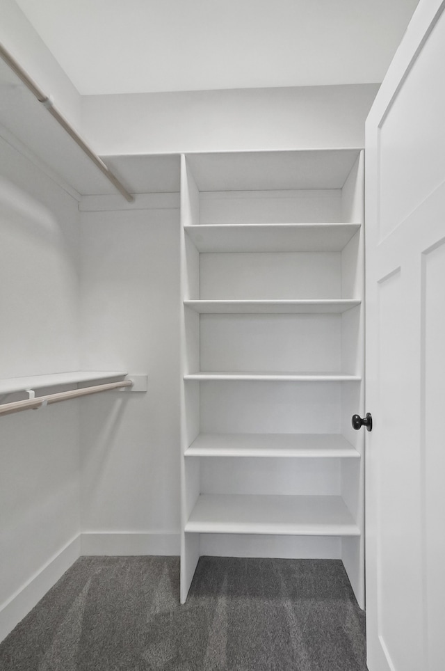 walk in closet with carpet floors