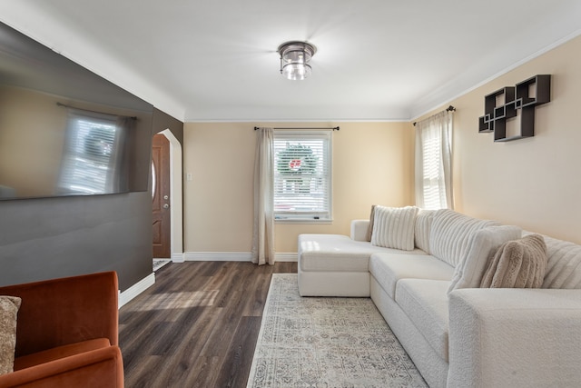 living room featuring crown molding and hardwood / wood-style floors