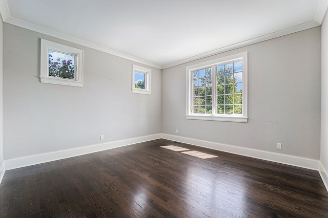 empty room featuring dark hardwood / wood-style flooring and crown molding