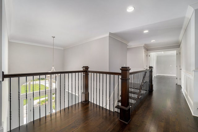 corridor with dark hardwood / wood-style flooring and ornamental molding