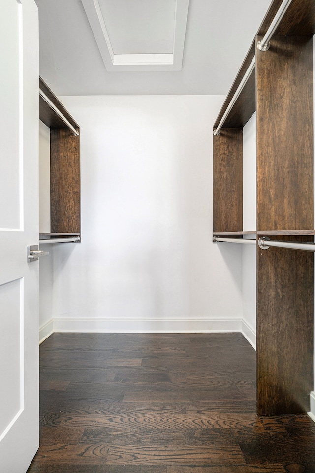 spacious closet with dark hardwood / wood-style floors