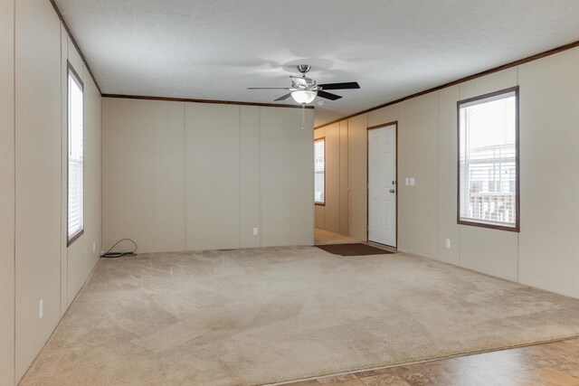 carpeted empty room with crown molding, ceiling fan, and a decorative wall