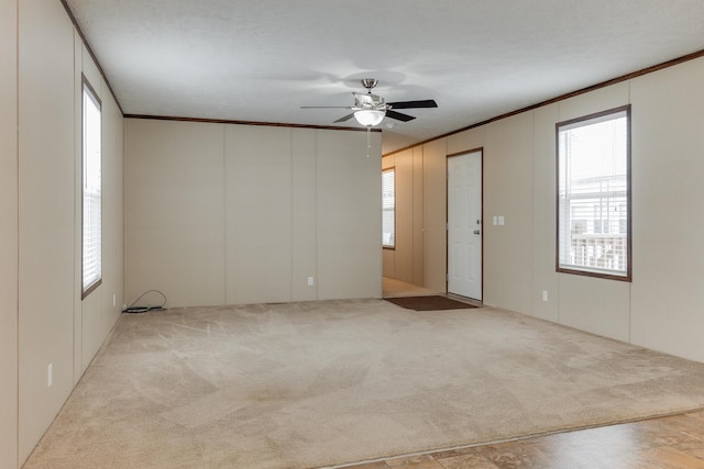 238 Cambridge Dr, Dimondale, MI 48821 - photo 6