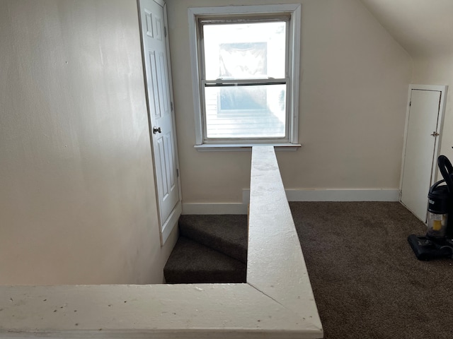 stairs with lofted ceiling and carpet flooring