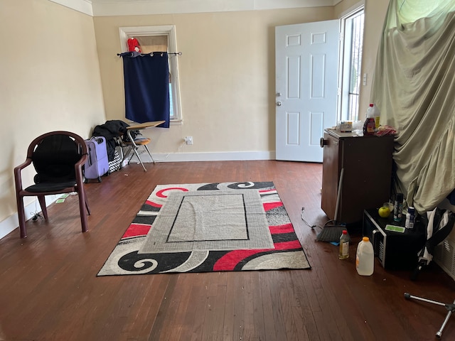 interior space with dark wood-type flooring