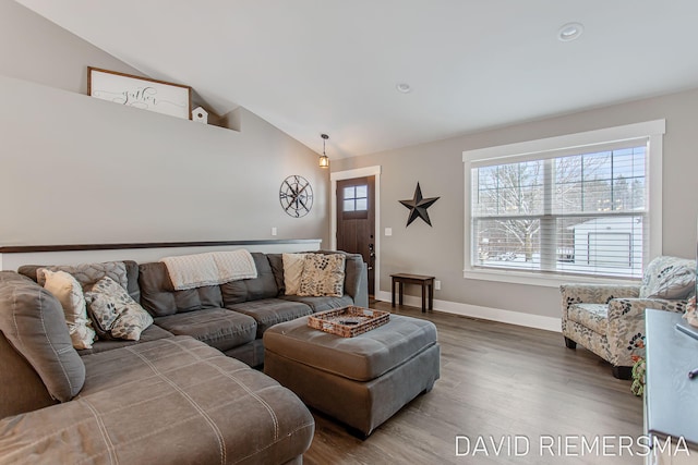 living room with wood-type flooring and vaulted ceiling