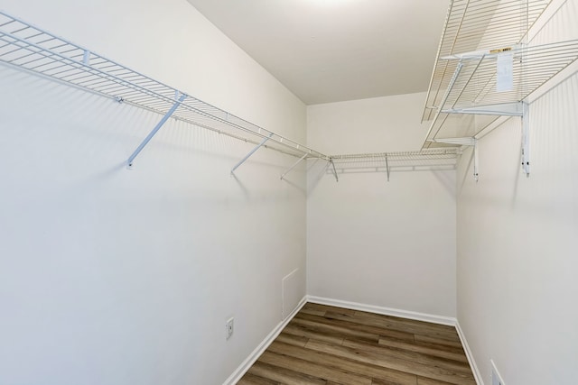 spacious closet featuring hardwood / wood-style floors