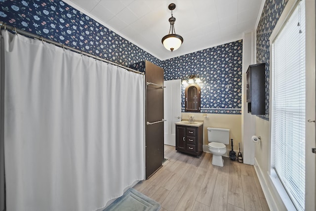 bathroom featuring toilet, vanity, and hardwood / wood-style flooring