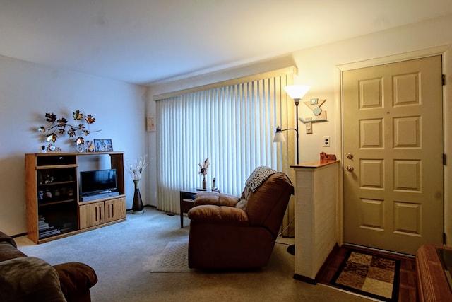 living room with carpet floors