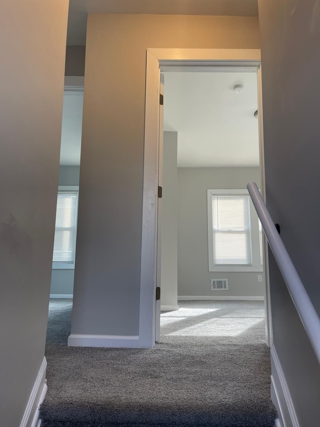 staircase with carpet flooring