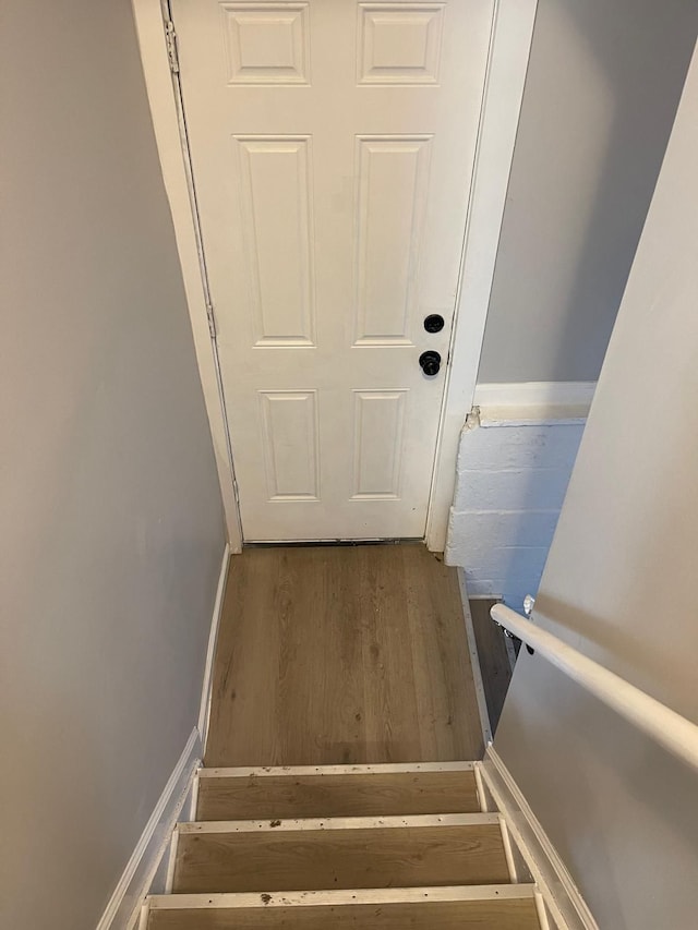 staircase with wood-type flooring