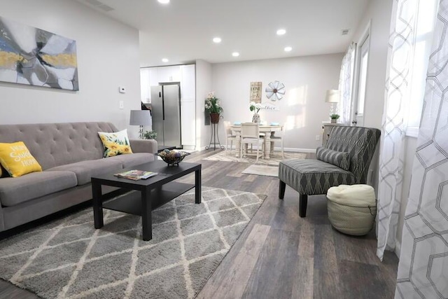 living room featuring wood-type flooring