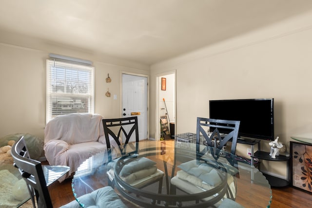 living room with wood-type flooring