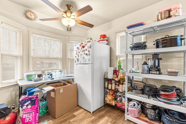 kitchen featuring white refrigerator, light hardwood / wood-style floors, and ceiling fan