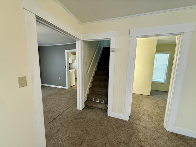 stairs with carpet and ornamental molding