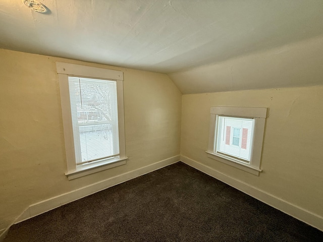 bonus room featuring carpet and vaulted ceiling