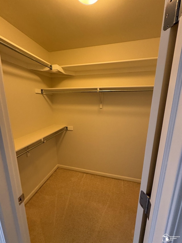 spacious closet featuring light colored carpet