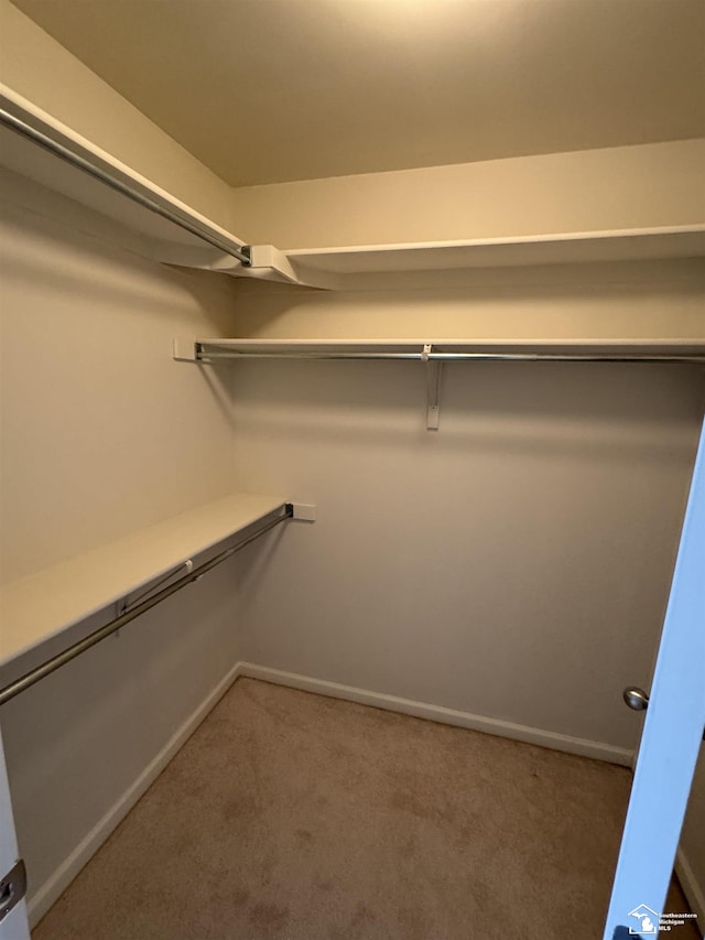 walk in closet with carpet