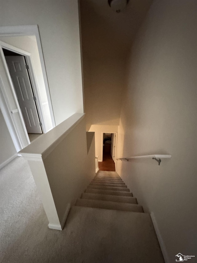 stairway featuring carpet floors