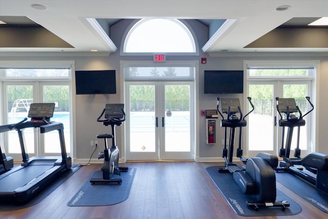 workout area featuring wood-type flooring, a wealth of natural light, and french doors