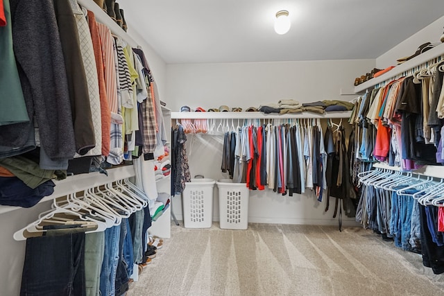 spacious closet with carpet flooring