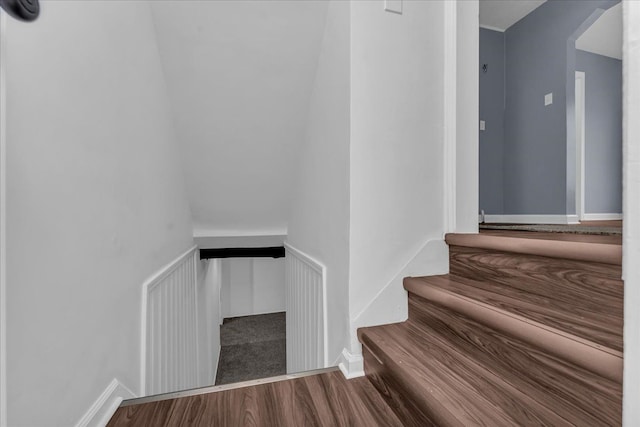 staircase with wood-type flooring