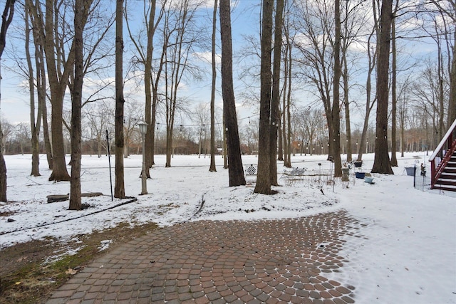 view of snowy yard