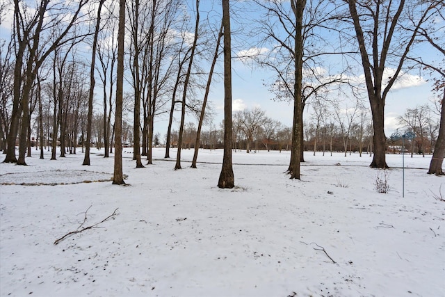 view of yard covered in snow