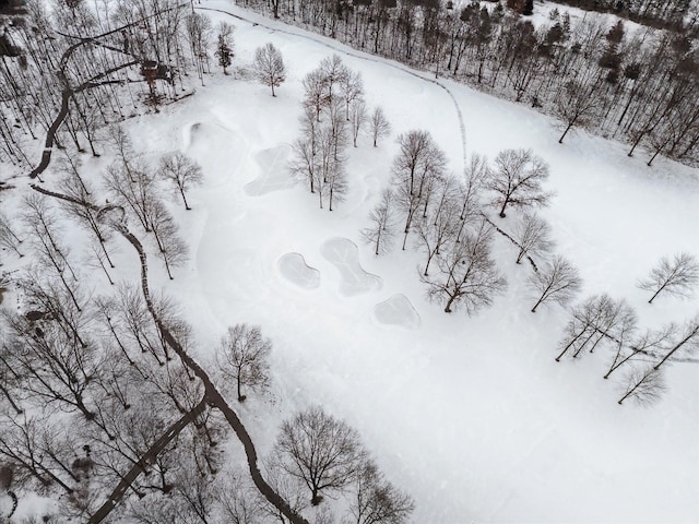 view of snowy aerial view