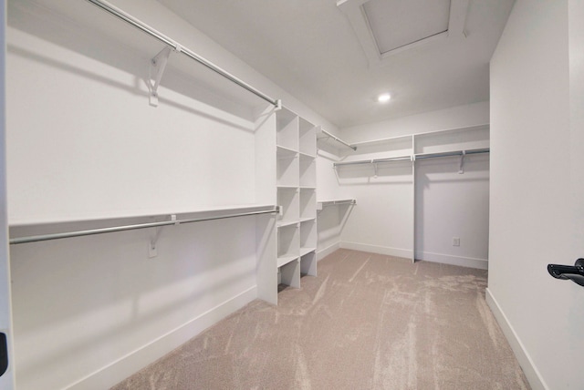 spacious closet featuring light colored carpet