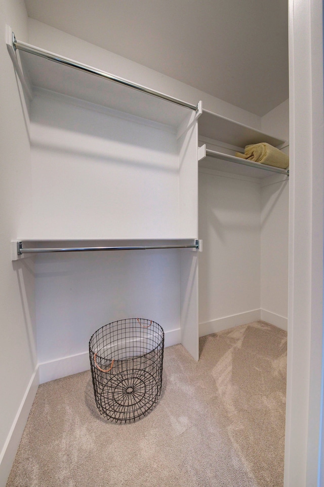 spacious closet with carpet flooring