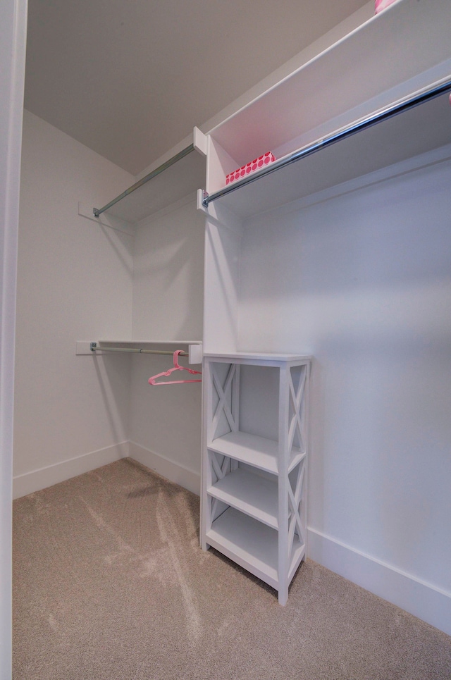 walk in closet featuring carpet floors