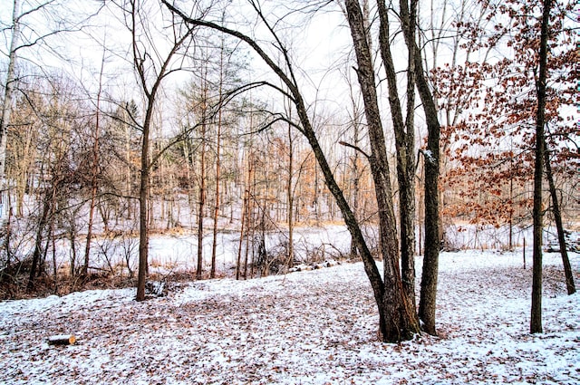 view of snow covered land