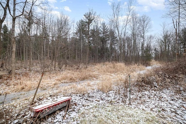 view of local wilderness