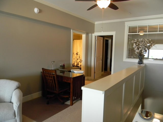 carpeted home office with ceiling fan and ornamental molding