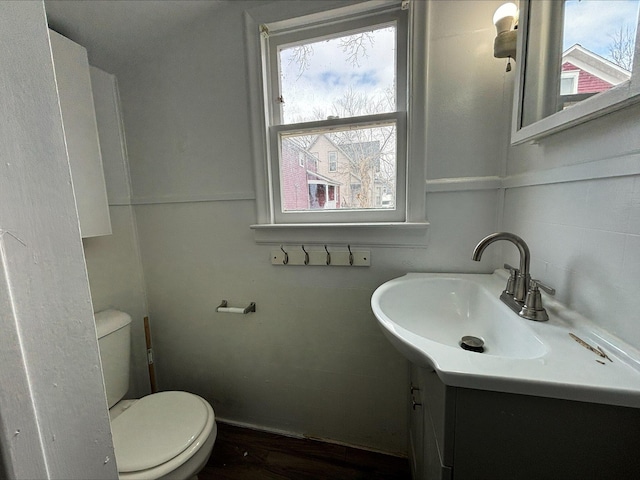 bathroom with vanity and toilet