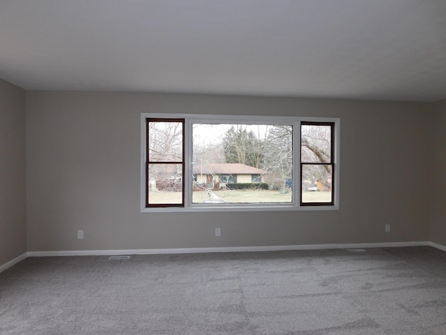 carpeted empty room featuring a healthy amount of sunlight