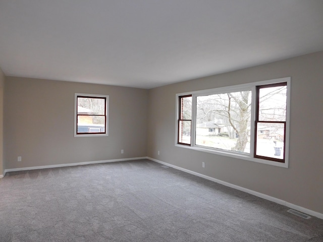 carpeted spare room with a wealth of natural light