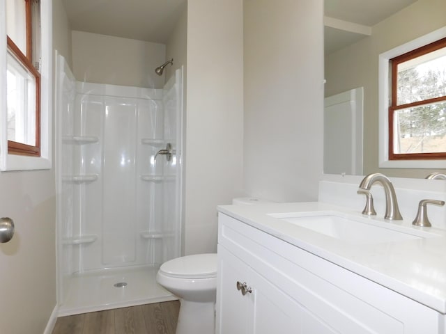 bathroom with walk in shower, vanity, wood-type flooring, and toilet