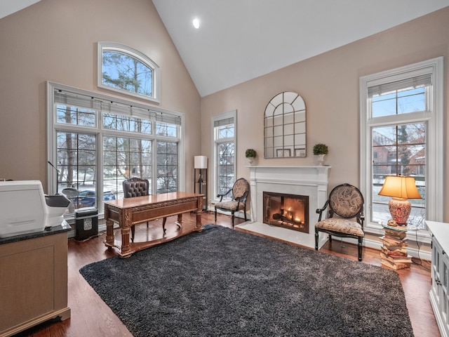 interior space featuring dark hardwood / wood-style flooring, high vaulted ceiling, and plenty of natural light