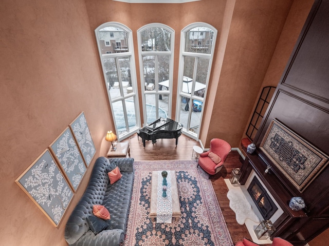 interior space featuring hardwood / wood-style flooring, plenty of natural light, and a towering ceiling