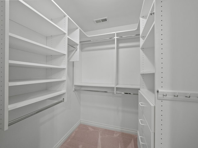 walk in closet featuring carpet floors